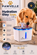 Pawvelle HydroPet